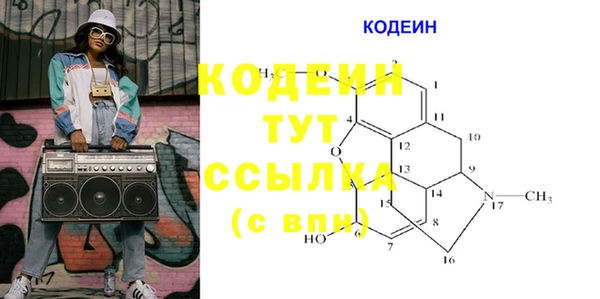 ECSTASY Бородино