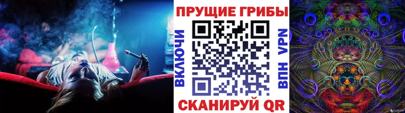 Галлюциногенные грибы Psilocybe  Солигалич 
